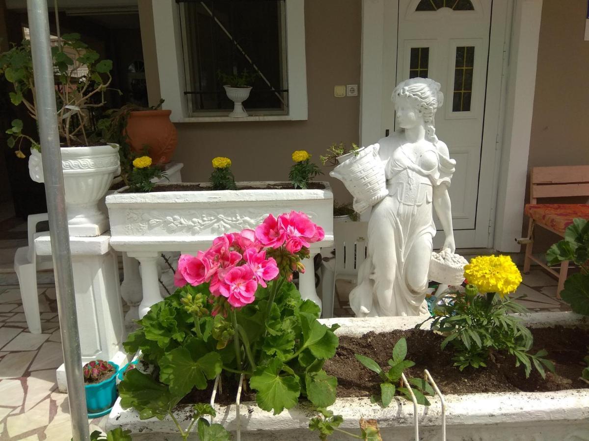 Villa Elli Ολυμπιακή Ακτή Εξωτερικό φωτογραφία