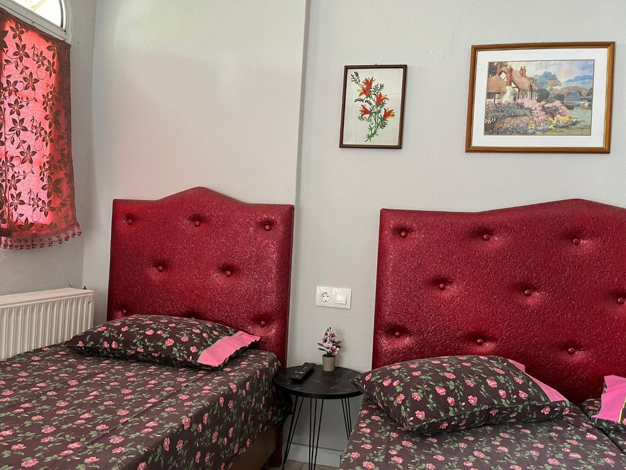 Villa Elli Ολυμπιακή Ακτή Εξωτερικό φωτογραφία
