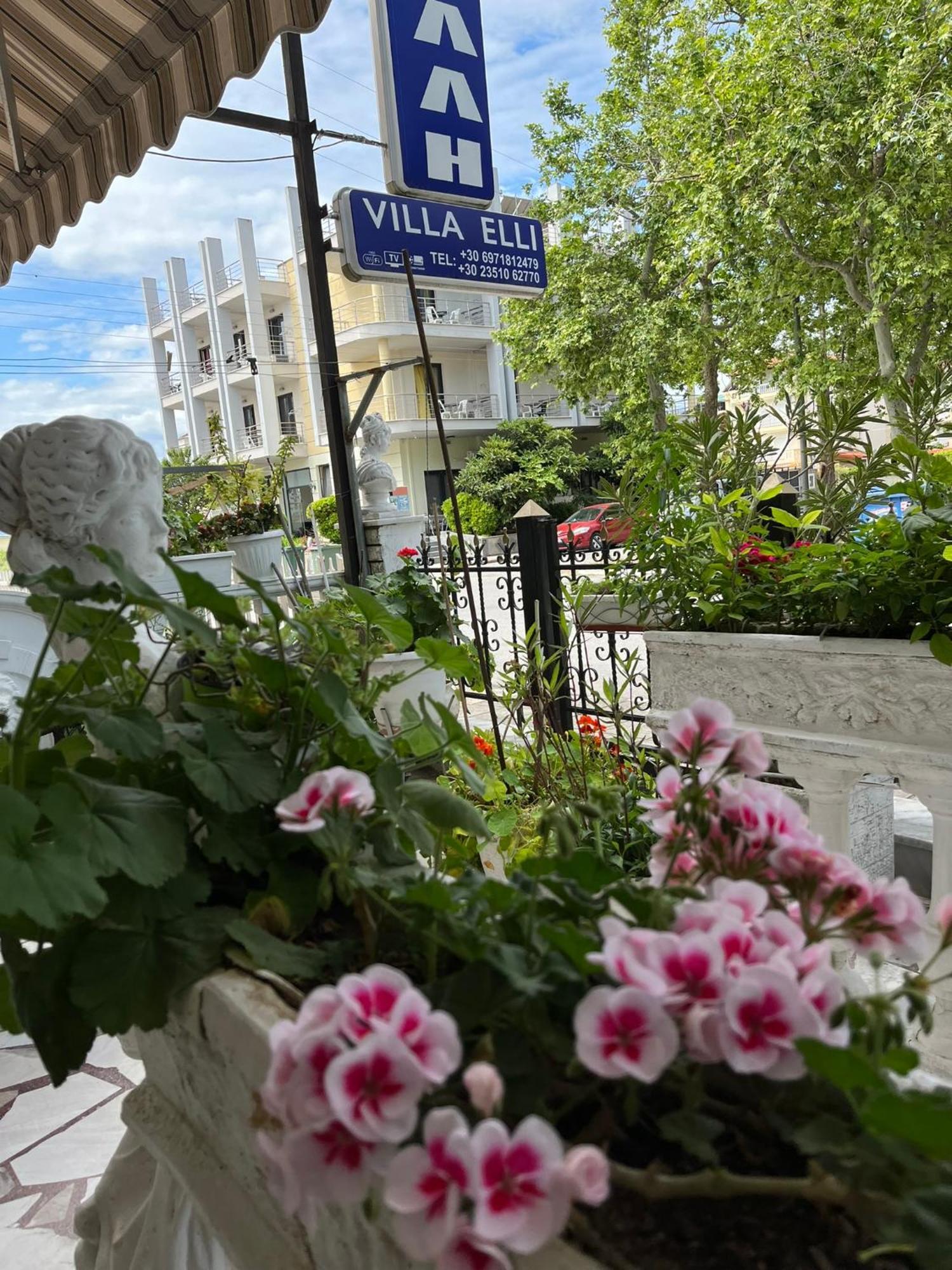 Villa Elli Ολυμπιακή Ακτή Εξωτερικό φωτογραφία