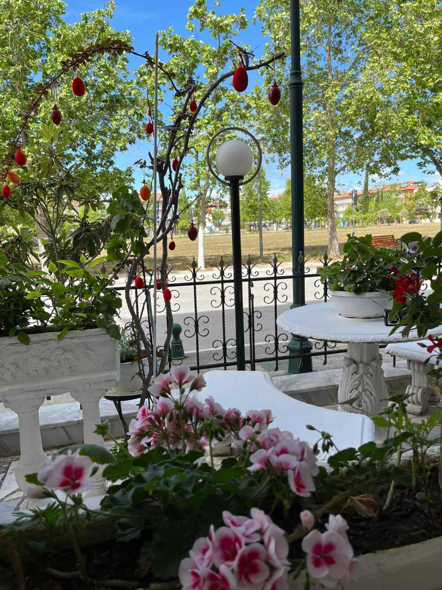 Villa Elli Ολυμπιακή Ακτή Εξωτερικό φωτογραφία